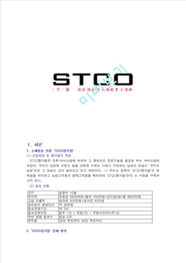 STCO 브랜드SWOT분석과 마케팅 STP,4P전략분석과 (전문가인터뷰포함)   (1 )
